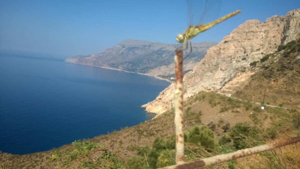 Ikaria Studios Manganitis Екстер'єр фото